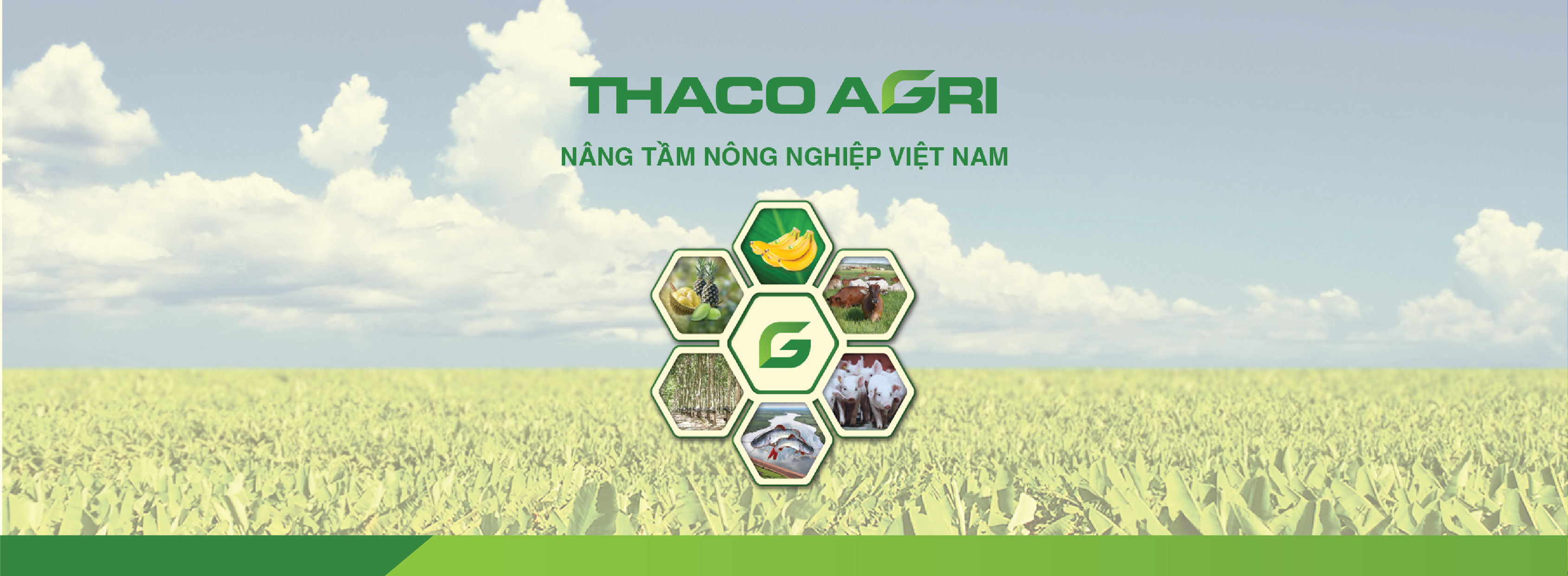 CÔNG TY CỔ PHẦN NÔNG NGHIỆP TRƯỜNG HẢI
