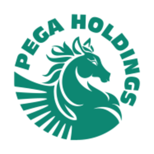 CÔNG TY CỔ PHẦN PEGA HOLDINGS