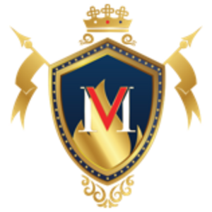 CÔNG TY CỔ PHẦN VIỆT MỸ GROUP