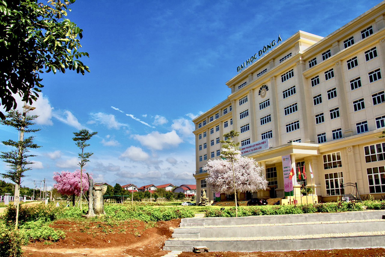 Da61a06903aef2eb599537b64d177375